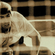 Illustration for article titled The Two Escobars